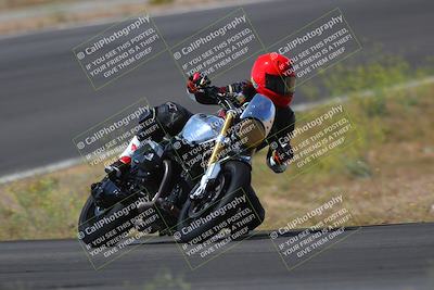 media/May-09-2022-Moto Forza (Mon) [[0226cf3505]]/Group B/B 1020am/